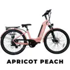 APRICOT PEACH