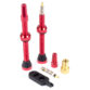 SEAL-VALVE60RD_WEB_1000x1000